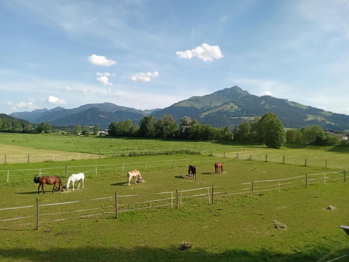 Apartment-Pension Schmiedererhof Sankt Johann in Tirol Ngoại thất bức ảnh